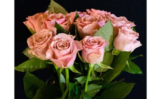 バラの花束 ピンクパープル系 熊本県阿蘇市 ふるさと納税 ふるさとチョイス