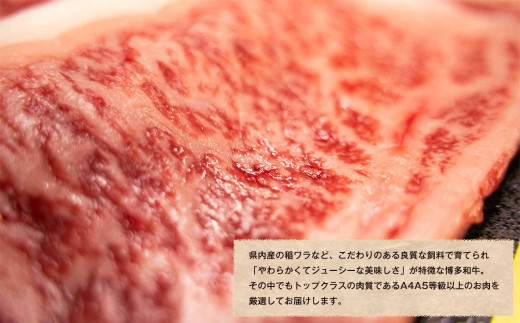 福岡県産 黒毛和牛 博多和牛 サーロインステーキ 250g×4（1kg）