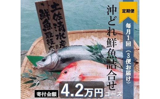 土佐清水の鮮魚詰め合わせ定期便【3回】【BK-1】