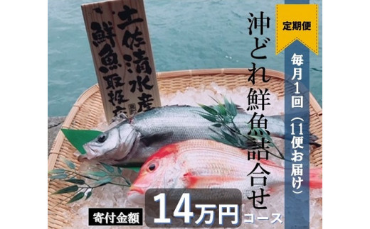 【BL-1】土佐清水の鮮魚詰め合わせ定期便【10回】
