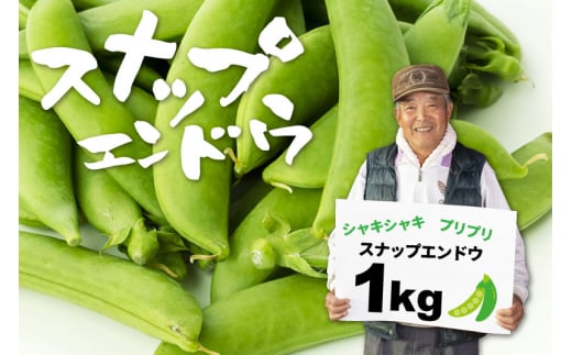 【6月発送】飛騨 スナップエンドウ 1kg スナップえんどう国産 産地直送 野菜 syun169