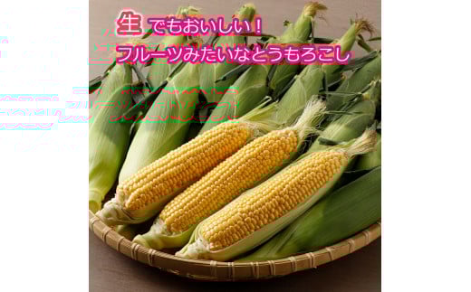 《先行受付/期間限定 200セット》[北海道・十勝 美しい村] 早い者勝ち！！産地直送★太陽の恵みを限りなく浴びたもぎたてスイートコーン 10本程度 とうもろこし トウモロコシ コーン 野菜 冷蔵 国産 【2025年7月上旬-9月下旬 発送予定】[015-0092]