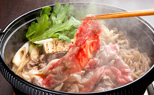 【定期便6回】 熊本県産 赤牛 すき焼き用 500g×6回 計6回発送 牛肉