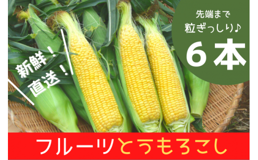 1 フルーツとうもろこし6本箱入り 千葉県八街市 ふるさと納税 ふるさとチョイス