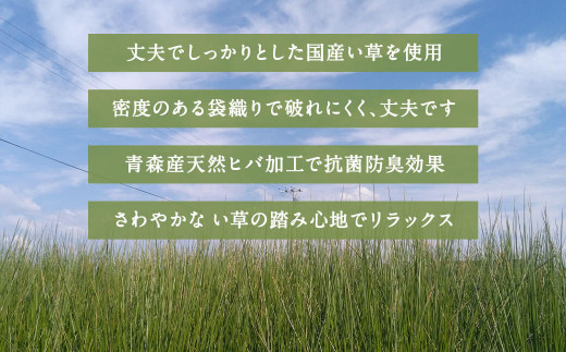 い草 玄関マット Fミーナ 70×120cm（ブルー/ピンク）屋内 - 福岡県柳川