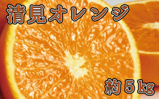 【予約】【ジューシー】清見オレンジ 5kg　※2025年3月下旬〜2025年4月中旬頃に順次発送予定（お届け日指定不可）【uot710-2】 763100 - 和歌山県串本町