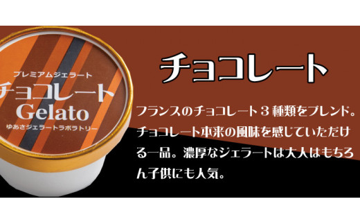 プレミアムジェラート チョコレート12個セット アイスクリームセット 100mlカップ ゆあさジェラートラボラトリー 763259 - 和歌山県串本町