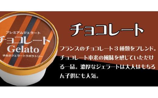 プレミアムジェラート チョコレート12個セット アイスクリームセット 100mlカップ ゆあさジェラートラボラトリー【kstb700-03】 763259 - 和歌山県串本町