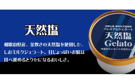 プレミアムジェラート 天然塩12個セット アイスクリームセット 100mlカップ ゆあさジェラートラボラトリー 763260 - 和歌山県串本町