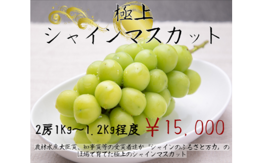 おすすめ 山梨県山梨市 ぶどうのふるさと納税を探す ふるさとチョイス