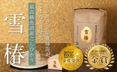 【頒布会】最高級魚沼産コシヒカリ「雪椿」5kg×全6回 特別栽培米