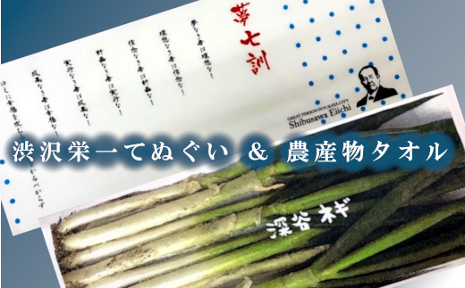 渋沢栄一 夢七訓 手ぬぐい 農産物タオル 0335 埼玉県深谷市 ふるさと納税 ふるさとチョイス