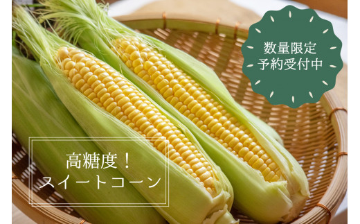 朝晩の寒暖差があま~いコーンを作ります