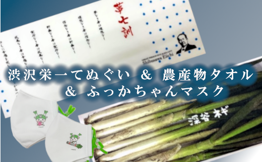 渋沢栄一 夢七訓 手ぬぐい 農産物タオル ふっかちゃんマスク Lサイズ 2枚セット 0337 埼玉県深谷市 ふるさと納税 ふるさとチョイス