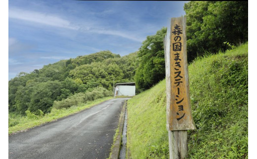 森の国まきステーション 薪（広葉樹ミックス）約14kg×2箱 ※着日指定