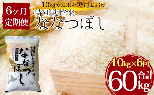 特別栽培米ななつぼし10kg×6ヶ月連続お届け 1267392 - 北海道新篠津村