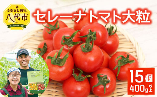  宮島農園 セレーナトマト 大粒 15個 400g以上 トマト 八代市産