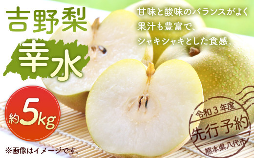 八代市 令和3年度 先行予約 吉野梨 幸水 5kg 梨 果物 幸水梨