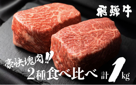 飛騨牛ブロック 塊 霜降り肉 赤身肉 500g 2 合計1kg 食べ比べ ブロック肉 セット 真空パック 黒毛和牛 肉 御中元 夏ギフト バーベキュー q キャンプ ローストビーフ S090 岐阜県白川村 ふるさと納税 ふるさとチョイス