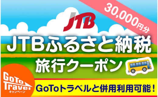 白谷雲水峡 縄文杉 ヤクスギランド等 Jtbふるさと納税旅行クーポン 30 000円分 鹿児島県屋久島町 ふるさと納税 ふるさとチョイス