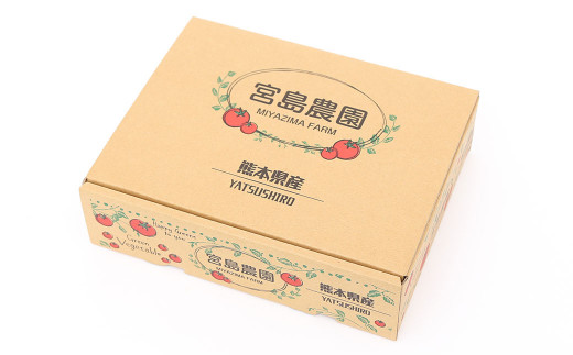 宮島農園 セレーナトマト サイズミックス 24個 400g以上 八代市産