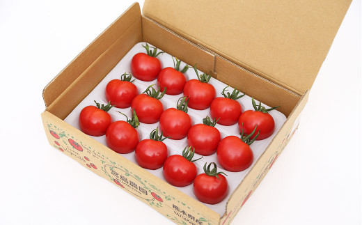  宮島農園 セレーナトマト 大粒 15個 400g以上 トマト 八代市産