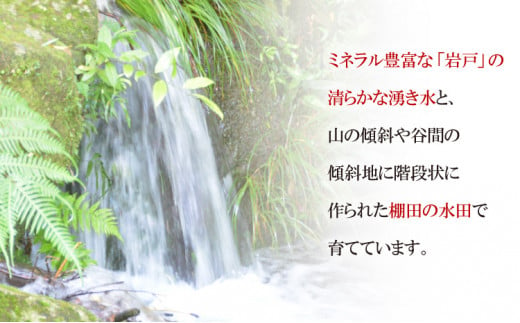 【新米予約】 令和5年 長崎県産 なつほのか (精米) 2kg 数量限定 / 長崎県農産品流通合同会社 / 長崎県 雲仙市 [item0482] 新米  米 お米 期間限定