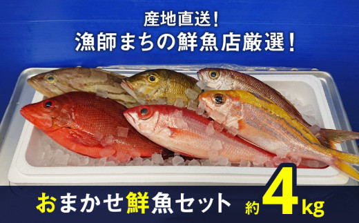 鮮魚店「魚忠」 厳選鮮魚セット 大洗 厳選 旬 魚 さかな - 茨城県大洗