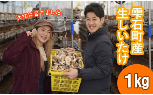 しいたけ嫌いも食べられる!! 雫石町産「生しいたけ」1kg[さくらだファーム]/ 椎茸 きのこ 国産 臭み少なめ