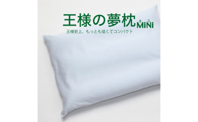 AA011 王様の夢枕 ミニ （ピンク）一回り小さい超極小ビーズ枕【500202 