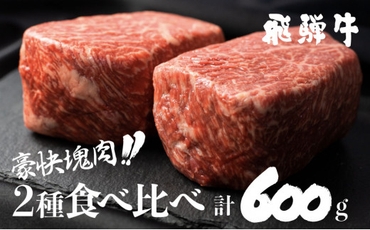 飛騨牛ブロック 塊 霜降り肉 赤身肉 ブロック肉 セット 300g 2 計600g q ローストビーフ S046 岐阜県白川村 ふるさと納税 ふるさとチョイス