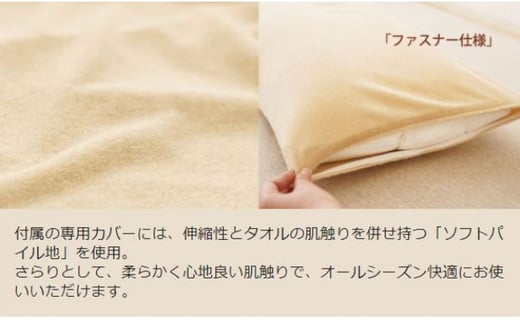 AA017 王様の夢枕 クラシック (専用枕カバー付き)【104-000510-20 