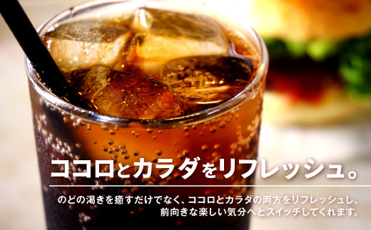 12_5-12 コカ・コーラ 350ml × 2ケース 計48本