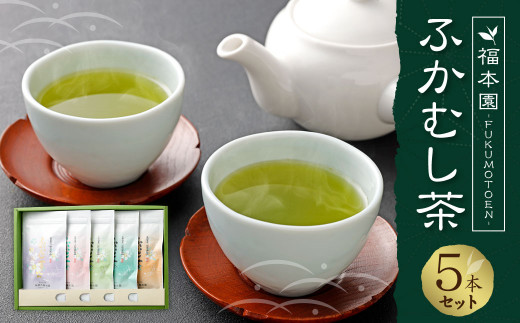 ふかむし茶 5本 セット 計500g / お茶 緑茶 茶葉 厳選 熊本県 特産品
