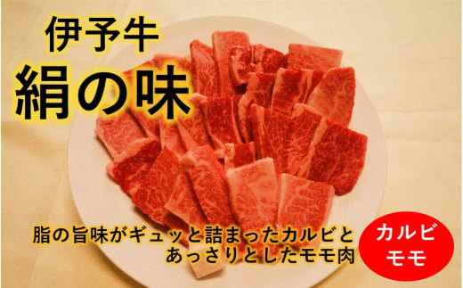 伊予牛絹の味 焼肉用 カルビ・モモ 500g (冷凍)