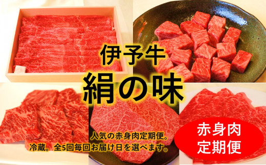 全5回定期便【配送日時指定可・冷蔵】★人気の赤身★伊予牛絹の味 赤身堪能コース(冷蔵)