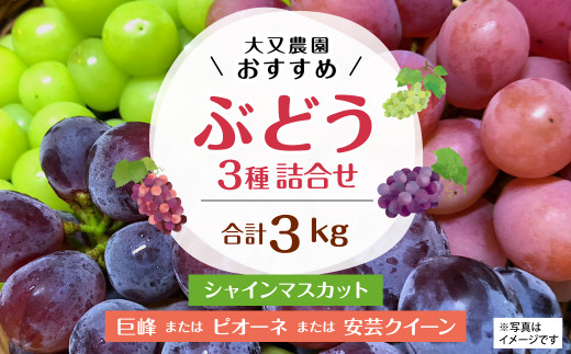 大又農園 おすすめ ブドウ 3種 詰め合わせ 3kg 80pt 長崎県大村市 ふるさと納税 ふるさとチョイス