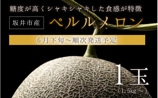 坂井市で丹精込めて育てました!