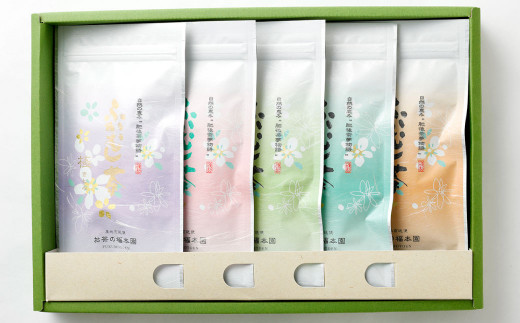 ふかむし茶5本セット ／ お茶 緑茶 茶葉 厳選 熊本県 特産品