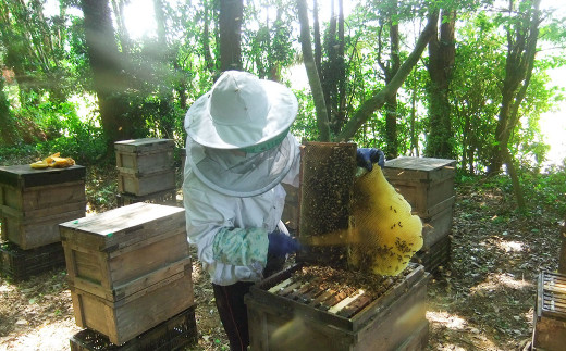 沖養蜂場の100％国産天然はちみつ