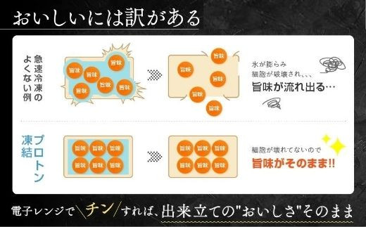 一粒庵 お重4パックセット 炭火 牛焼肉重 2パック さつま黒豚ハンバーグ重 2パック 冷凍食品 簡単調理 惣菜 昼食 夕食 お弁当 佐賀県唐津市 ふるさと納税 ふるさとチョイス