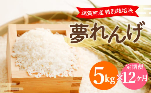 【12ヶ月定期便】 特別栽培米 夢れんげ 5kg×1袋 合計60kg 精米
