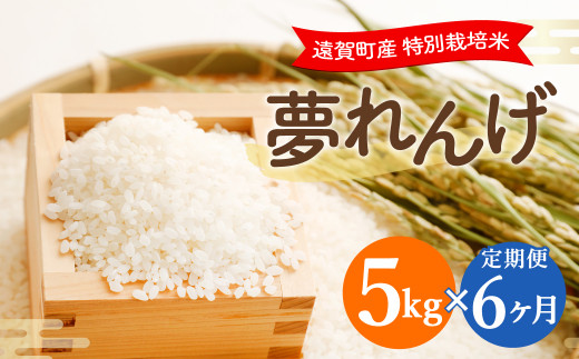 【6ヶ月定期便】 特別栽培米 夢れんげ 精米 5kg×1袋 合計30kg