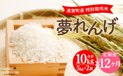 【12ヶ月定期便】 特別栽培米 夢れんげ 精米 10kg×1袋 合計120g