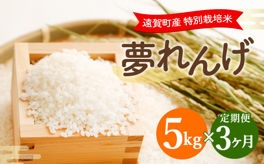 【3ヶ月定期便】 特別栽培米 夢れんげ 精米 5kg×1袋 合計15kg