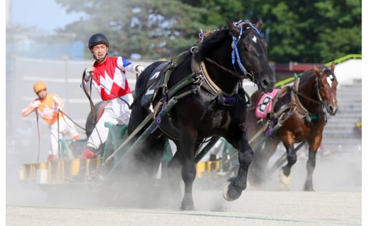 世界にたったひとつ ばんえい競馬冠レース 北海道帯広市 ふるさと納税 ふるさとチョイス