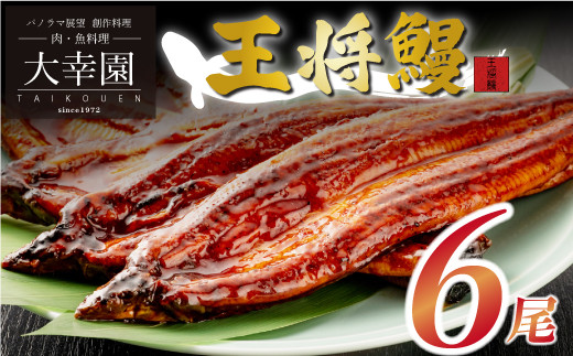 うなぎ人気ランキングの常連!国産うなぎ蒲焼