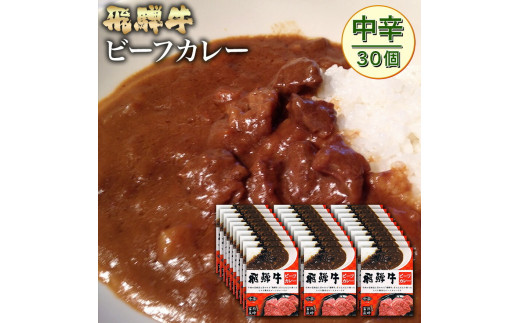 70002 飛騨牛ビーフカレー中辛30個