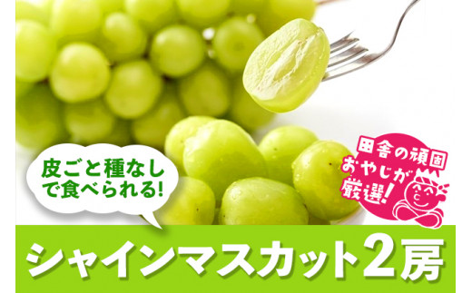 ぶどうのふるさと納税 カテゴリ・ランキング・一覧【ふるさとチョイス