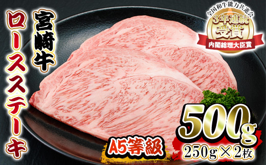 S-D1 内閣総理大臣賞受賞！宮崎牛ロースステーキ(250g×2枚・計500g)【A